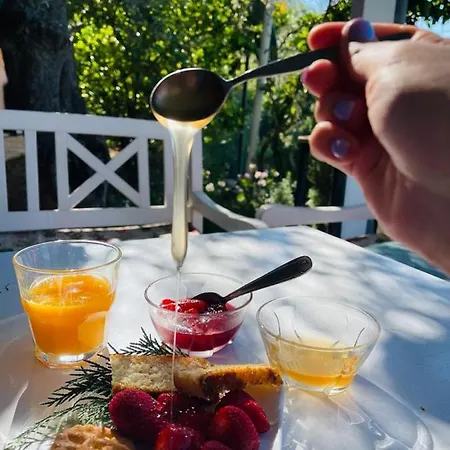 酒店 茵穆佩尔酒店 Dhërmi