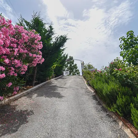 Imperial 3* Dhermi