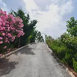 Imperial 3* Dhërmi